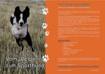 Vom Welpen zum Sporthund
