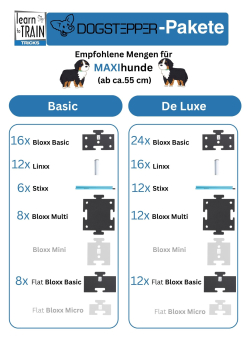 Sparpaket Leran to Train MAXI DE LUXE