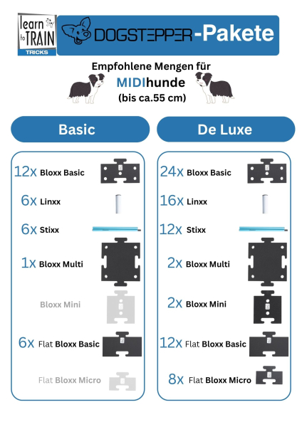Sparpaket Learn to Train MIDI BASIC